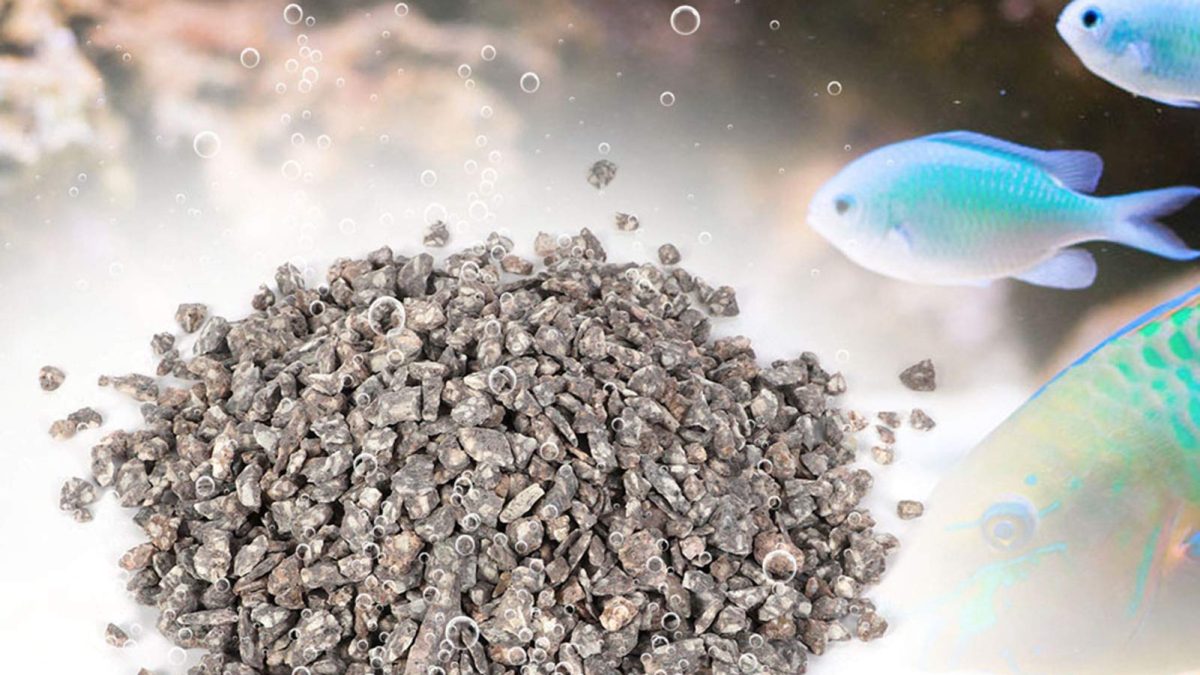 zeolite in fisg farming