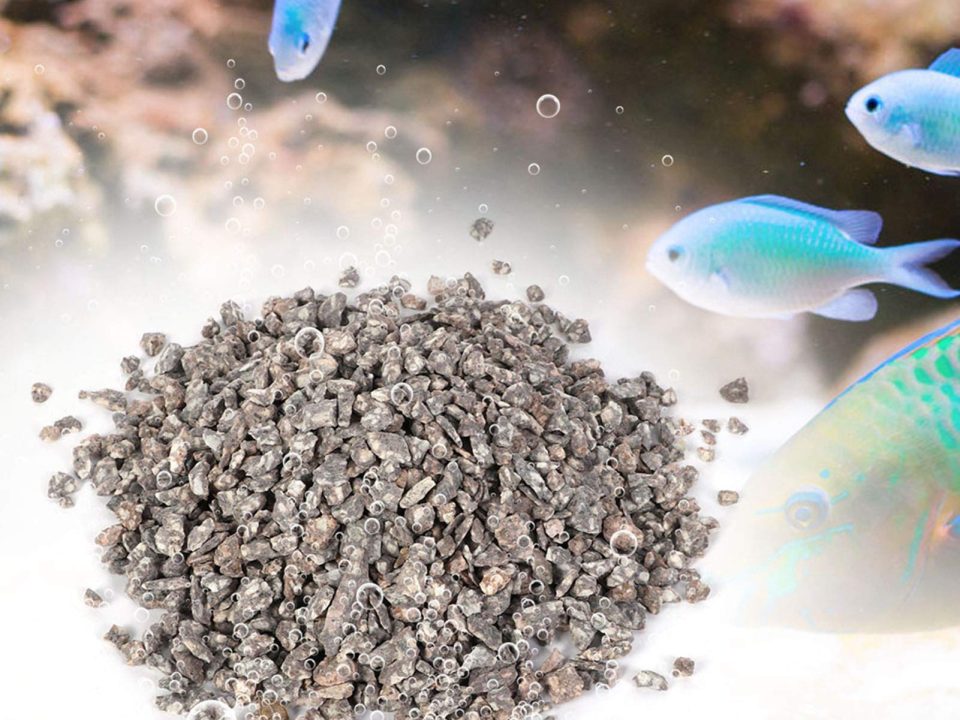 zeolite in fisg farming