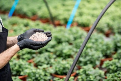 zeolite in agriculture